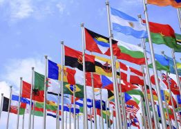 School of Foreign Languages